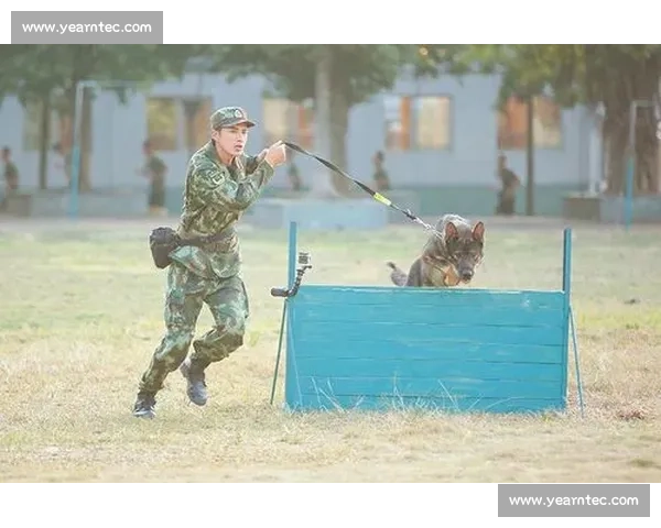 替补奇兵逆袭赛场燃情时刻书写不凡英雄传奇 替补奇兵逆袭赛场燃情时刻书写不凡英雄传奇