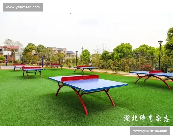 构建全民参与城乡联动校园职业融合发展的现代体育体系新格局路径